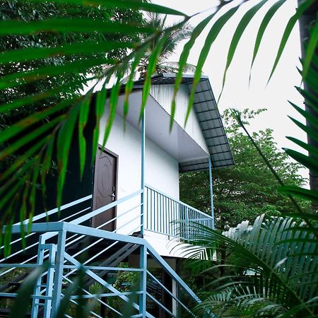 Green Aura Private Villas 苏丹巴特利 外观 照片