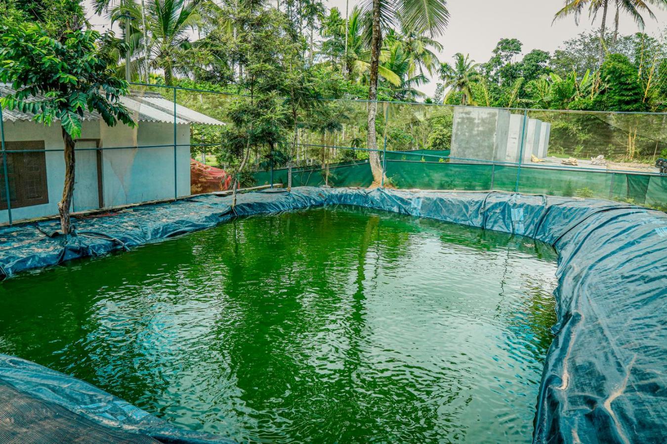 Green Aura Private Villas 苏丹巴特利 外观 照片