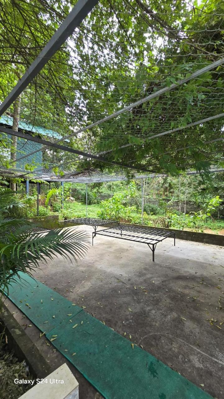 Green Aura Private Villas 苏丹巴特利 外观 照片